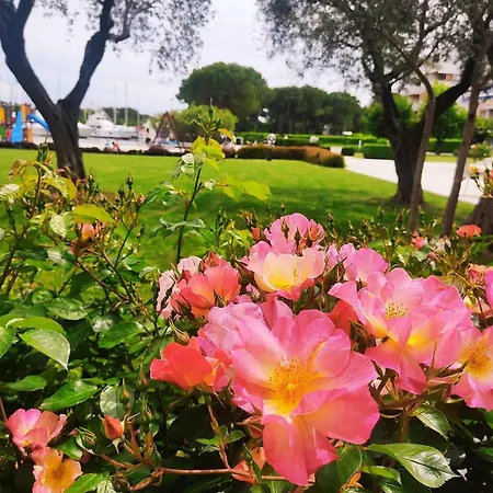 公寓 Signora Ruth - Aprilia