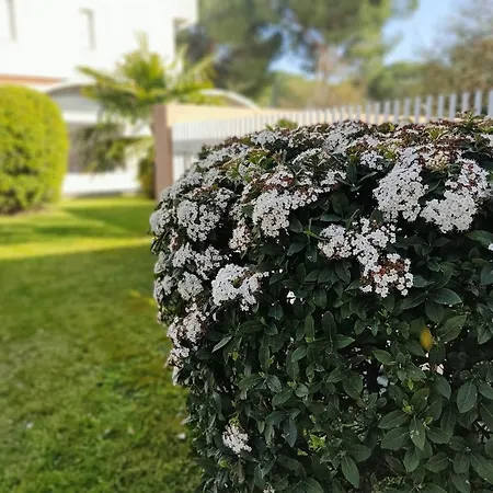 公寓 Signora Ruth - Aprilia *