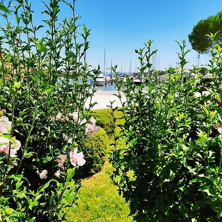 Signora Ruth - Aprilia