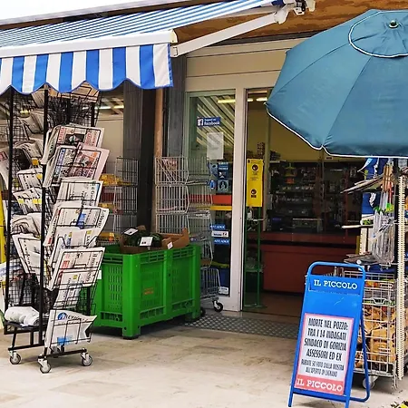 公寓 Signora Ruth - Aprilia 阿普里利亚马利蒂马