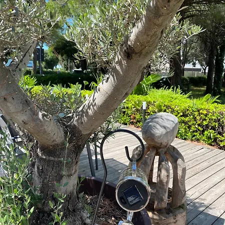 Signora Ruth - Aprilia 公寓 *