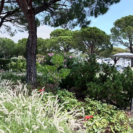 Signora Ruth - Aprilia * 阿普里利亚马利蒂马